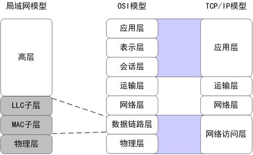 局域网技术在计算机网络开发中的核心作用与发展趋势