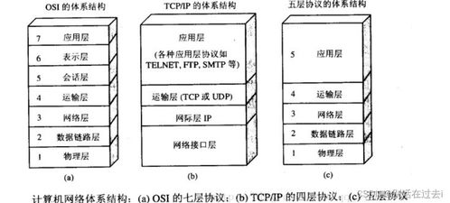 计算机网络常见问题解析与开发技术探讨