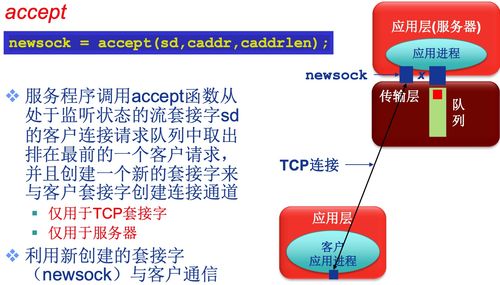 计算机网络技术开发中的Socket编程